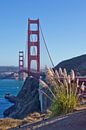 Golden Gate Bridge van Melanie Viola thumbnail
