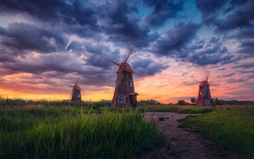Zonsondergang van het Windmolenpark