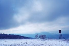 Frostpanorama von Bernd Tollkühn