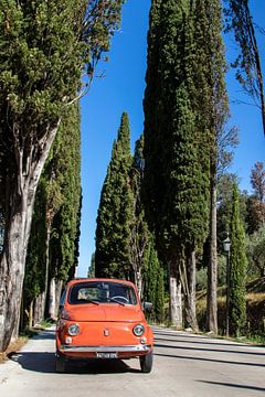 Fiat 500 bij Cipressen van Jolanda van Eek