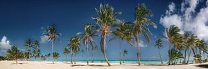 Strand met palmbomen in de Dominicaanse Republiek / Caribisch gebied. van Voss Fine Art Fotografie