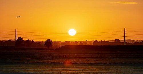Zonsondergang in de polder