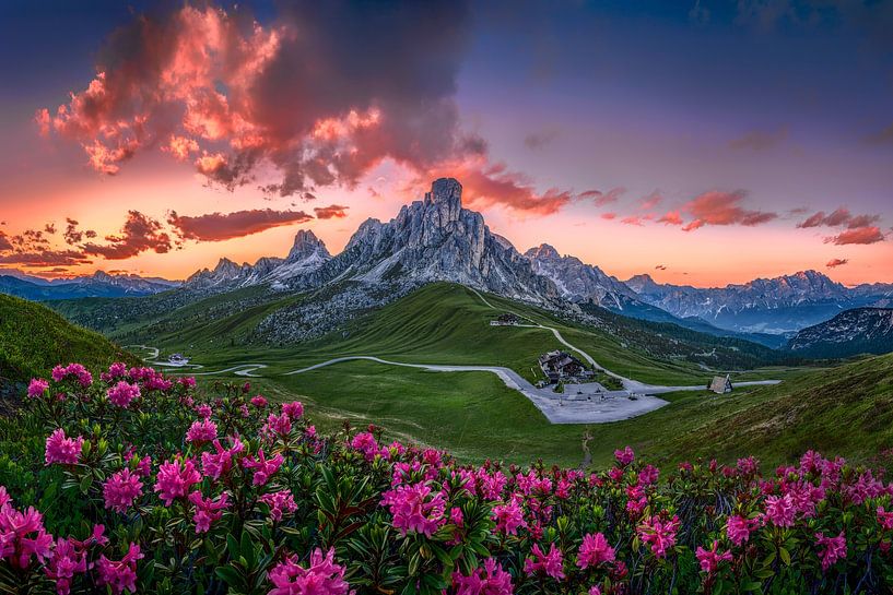 Alpenrozen bij zonsondergang in Zuid-Tirol van Voss fotografie