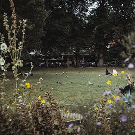 Vista with wild flowers | Travel photography fine art photo print | England, UK by Sanne Dost