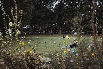 Doorkijkje met wilde bloemen | Reisfotografie fine art foto print | Engeland, UK van Sanne Dost