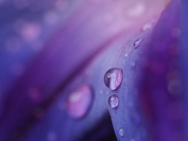 De schoonheid van regen by Christel Loman