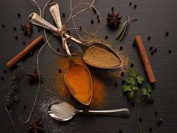 Herbs and Spices by Anita Visschers