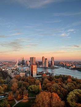 Rotterdam sunset
