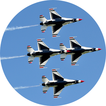 USAF Thunderbirds van Rogier Vermeulen