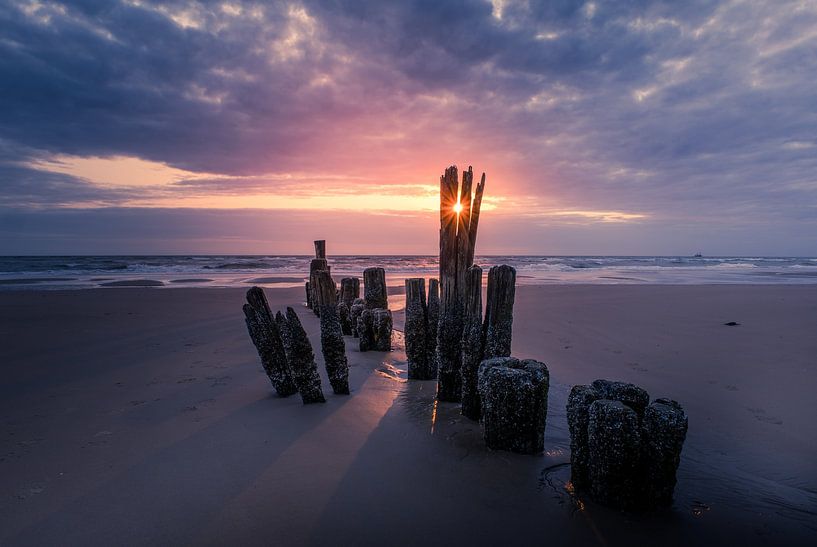 Catching the sun by peterheinspictures