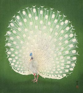 Peacock, Ohara Koson