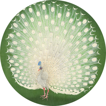Peacock, Ohara Koson