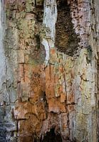 Tree structures