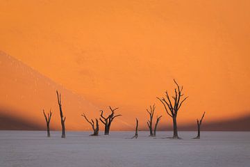 Deadvlei I by Sven Broeckx