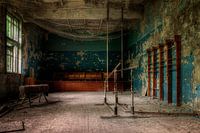 The gymnasium