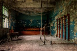 Le gymnase sur Steve Mestdagh