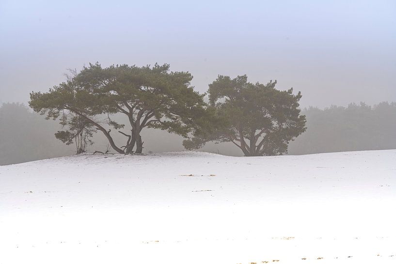 Winter landschap van iljan wakker