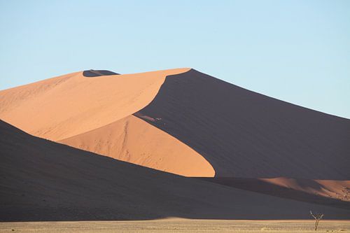 Sossusvlei, Namibie