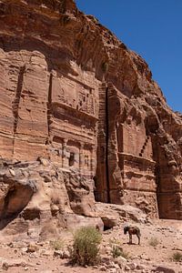 Graftombes in de stad Petra. van Floyd Angenent