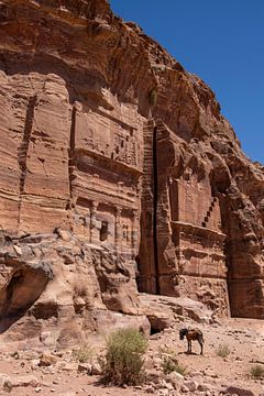 Gräber in der Stadt Petra. von Floyd Angenent