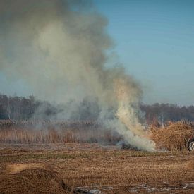 Burning reeds at Kalenberg #1818 by Daan Overkleeft