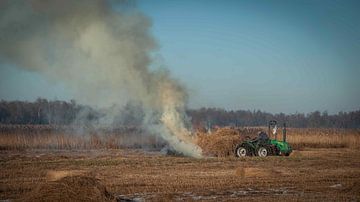 Burning reeds at Kalenberg #1818 by Daan Overkleeft