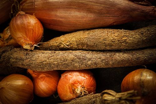 Salsify, onion and shallot