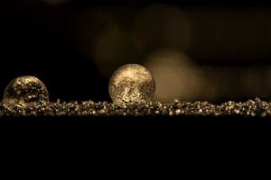 Cloche à glace gelée sur Tanja van Beuningen