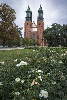 Beautiful Poznan Cathedral Surrounded by Blooming Flowers, Polan