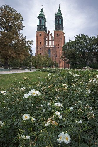 Beautiful Poznan Cathedral Surrounded by Blooming Flowers, Polan