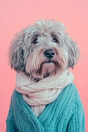 Bergamasco von Poster Art Shop