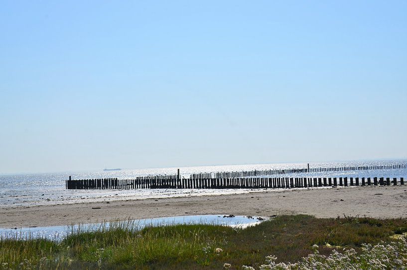 Palenrij in Nes op Ameland par Marjan Noteboom