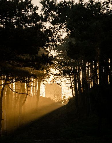 Zonneharp met de Brandaris