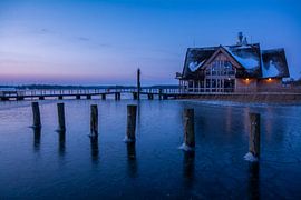 Winter by Alena Holtz