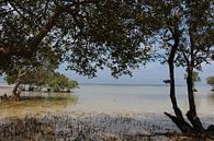 Emerald Beach - Puerto Princessa, Palawan, Filipijnen van Stefan Speelberg thumbnail