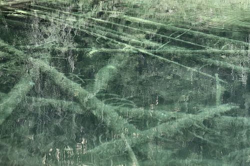 Untitled 10