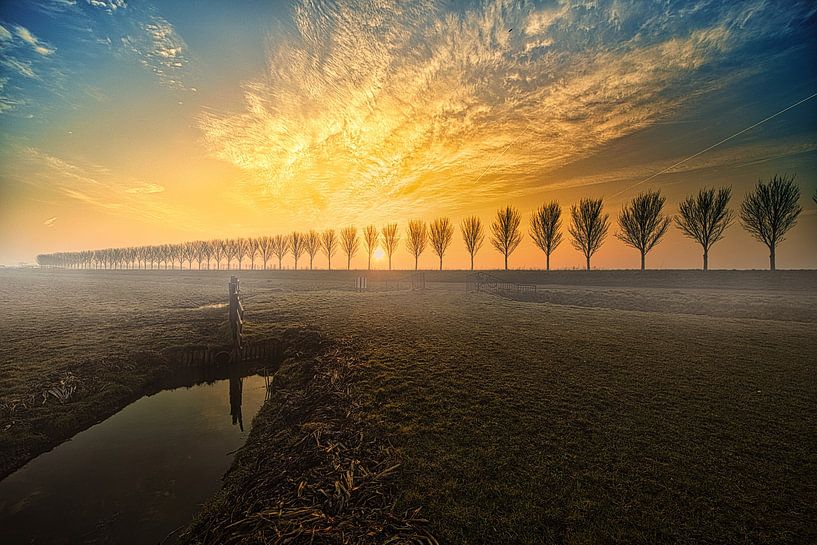 View over the Beemster at sunrise by peterheinspictures