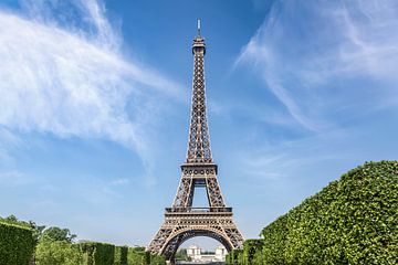 PARIS Eiffel Tower & Champ de Mars by Melanie Viola