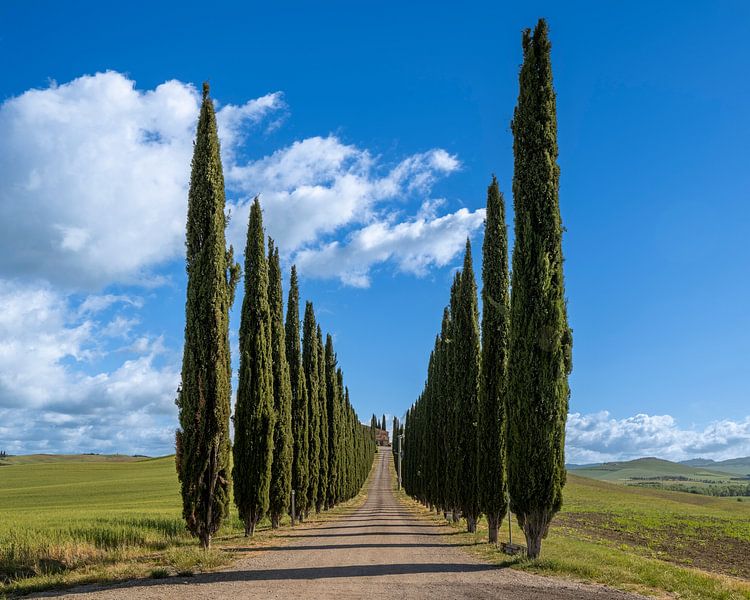 Agriturismo Poggio Covili - Toskana - Italien von Teun Ruijters