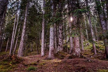 Zonsopkomst in Bürserberg van Rob Boon