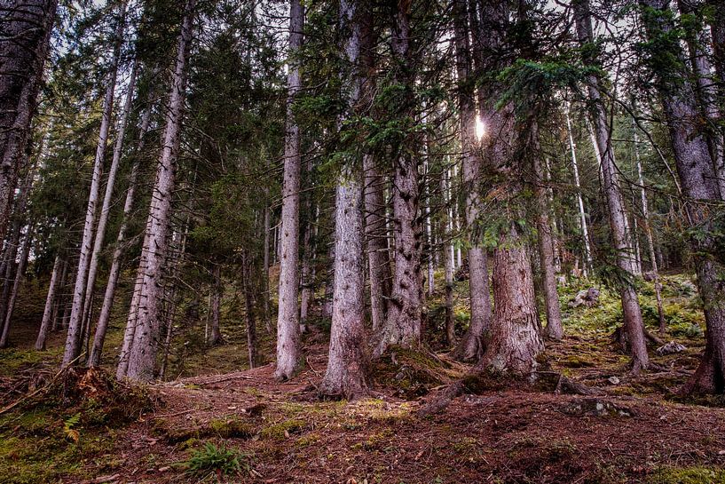Sunrise in Bürserberg by Rob Boon