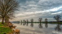 The Maas