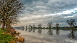 Der Maas von Lex Schulte