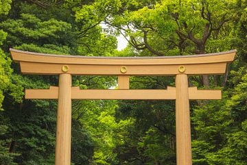 Parc Yoyogi - Tokyo (Japon) sur Marcel Kerdijk