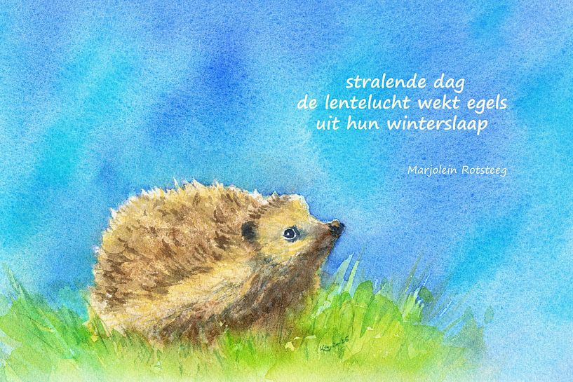 Der Duft des Frühlings Igel Haiku Holländisch von Karen Kaspar