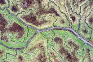 La terre noyée de Saeftinghe