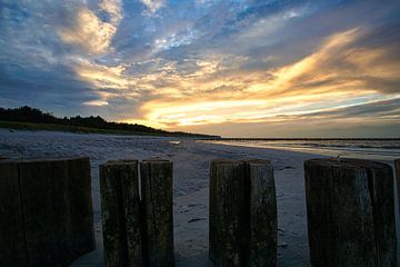 Buhne in Zingst aan de Oostzee, reikt in zee van Martin Köbsch