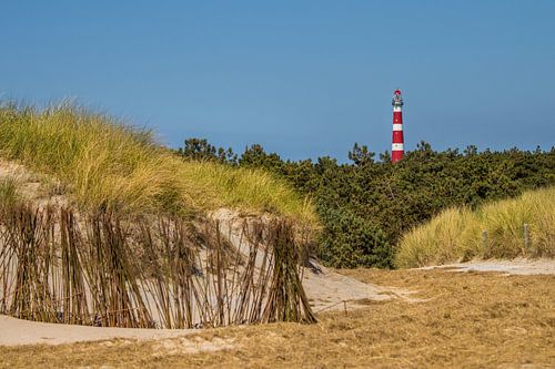 The lighthouse in all its splendor by Nicole Nagtegaal