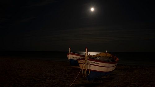 Fishing boats
