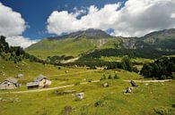 Blenio Vallei in Ticino, Alpen van Peter Apers thumbnail